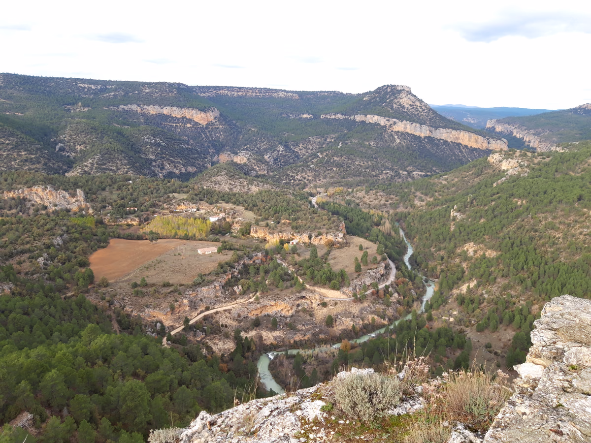 Vista panorámica de un paisaje forestal del Alto Tajo