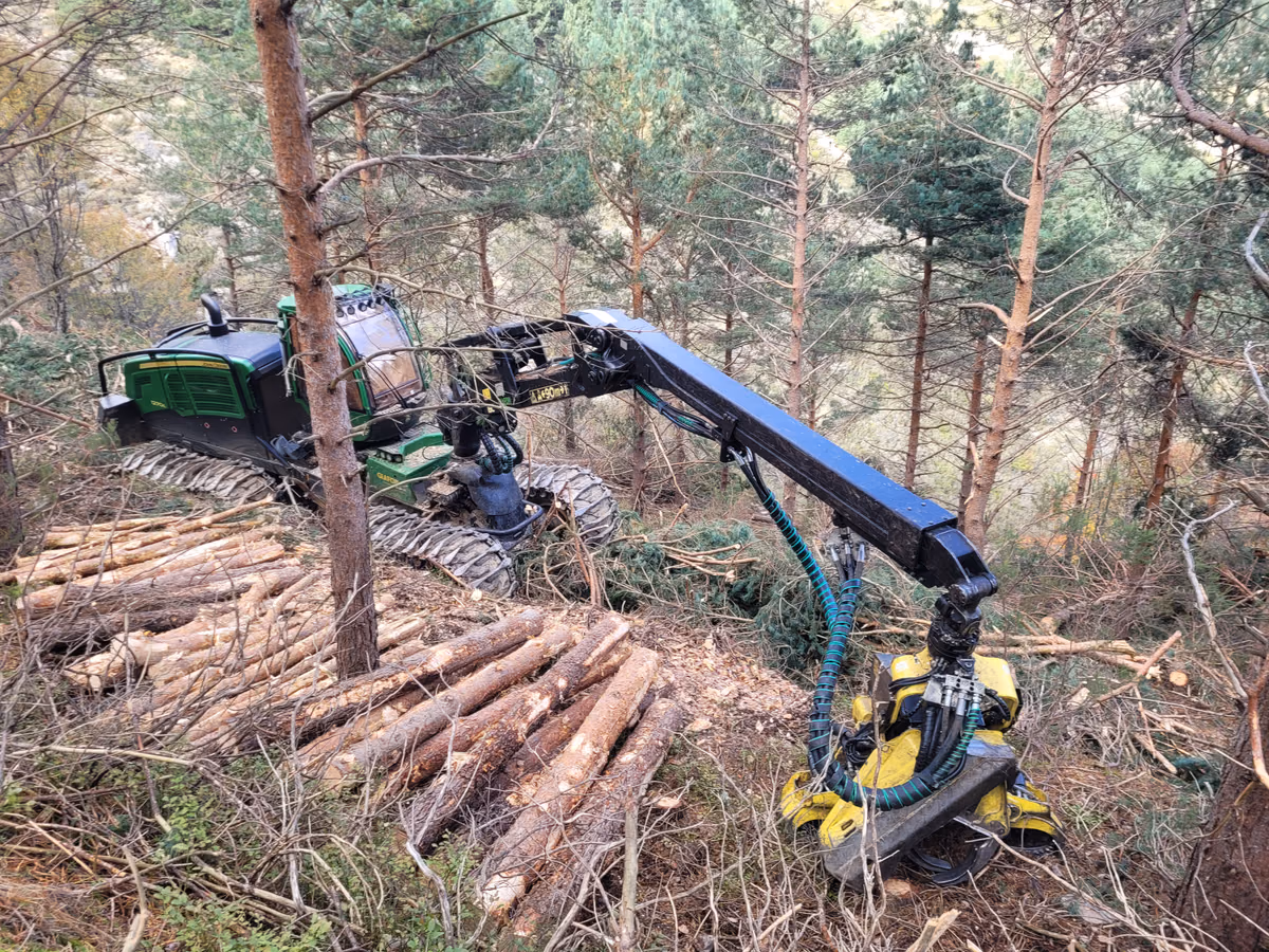 Procesadora forestal trabajando en un aprovechamiento de madera