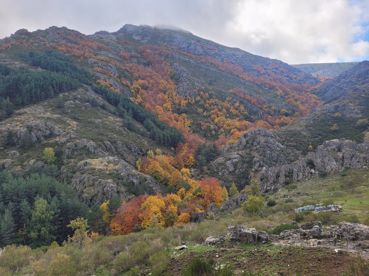 Laderas forestales de montaña con colores de otoño